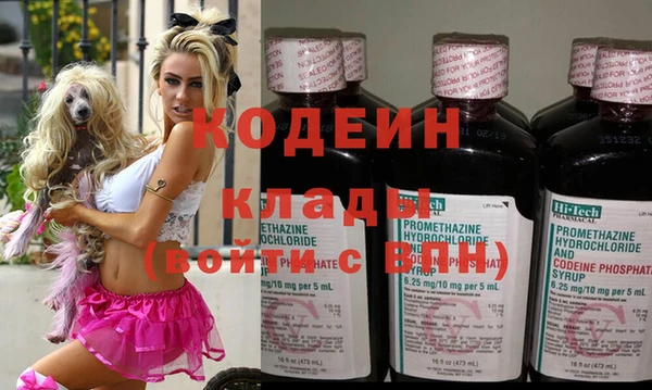 МДПВ Вяземский