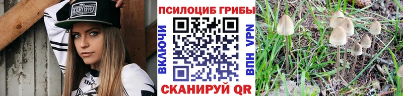 Купить закладки  Канаш  Псилоцибиновые грибы GOLDEN TEACHER 